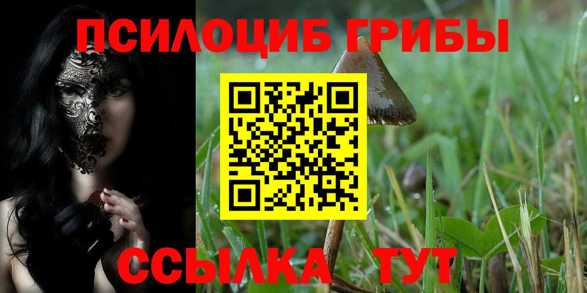 Реж  Галлюциногенные грибы ЛСД  как найти наркотики  Вход с VPN 